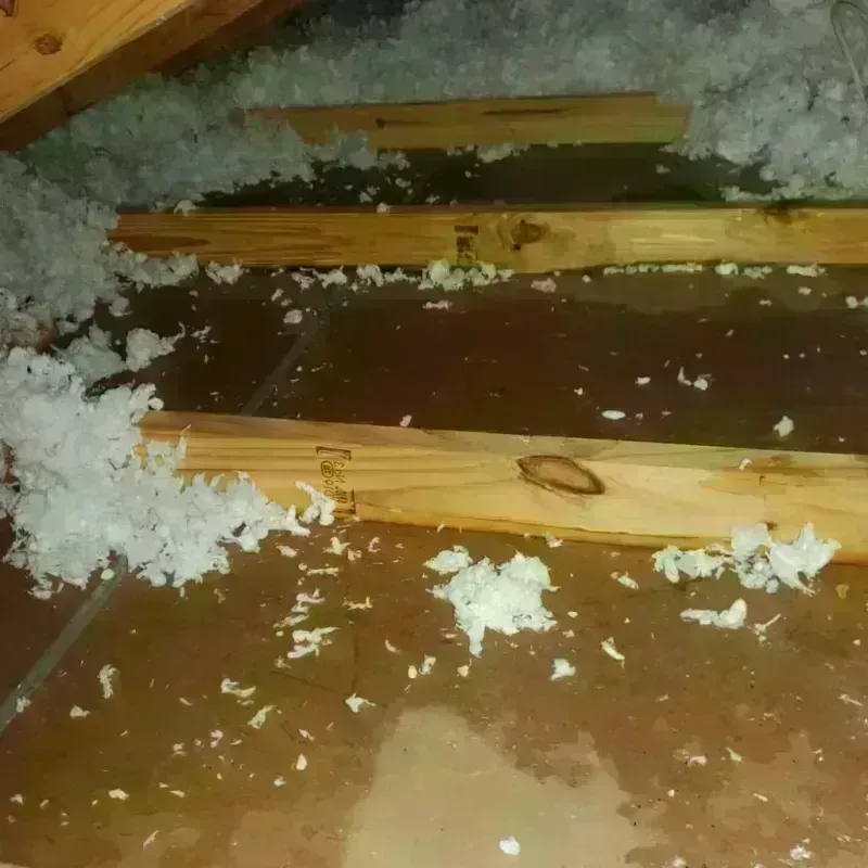 Attic Water Damage in Century City, CA